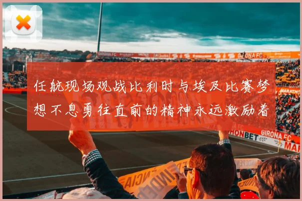 任航现场观战比利时与埃及比赛梦想不息勇往直前的精神永远激励着我们