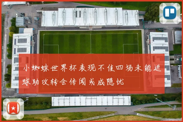 小蜘蛛世界杯表现不佳四场未能进球助攻转会传闻或成隐忧
