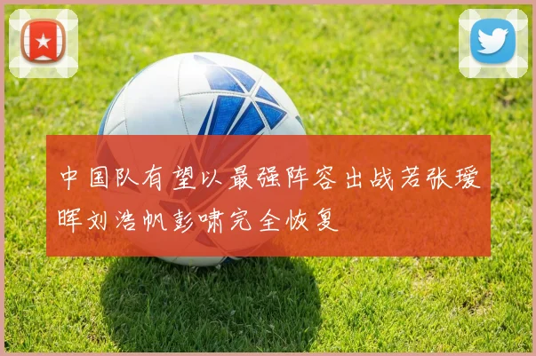中国队有望以最强阵容出战若张瑷晖刘浩帆彭啸完全恢复