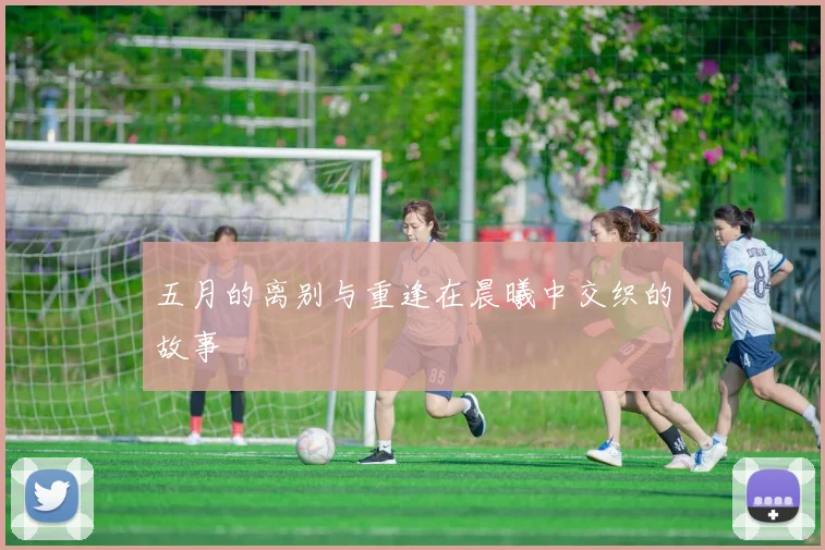 五月的离别与重逢在晨曦中交织的故事
